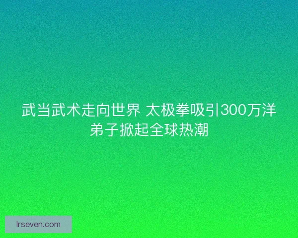 武当武术走向世界 太极拳吸引300万洋弟子掀起全球热潮